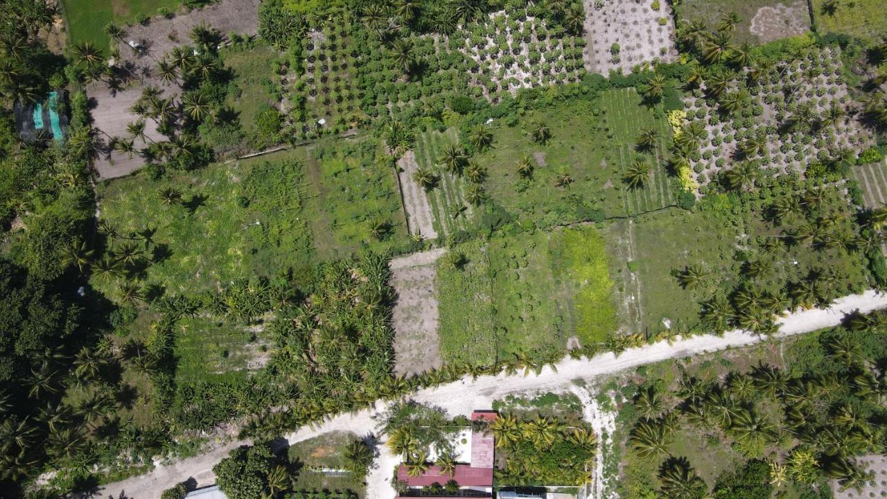 Thila Farm View Hotel Тодо Екстериор снимка
